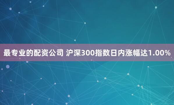 最专业的配资公司 沪深300指数日内涨幅达1.00%