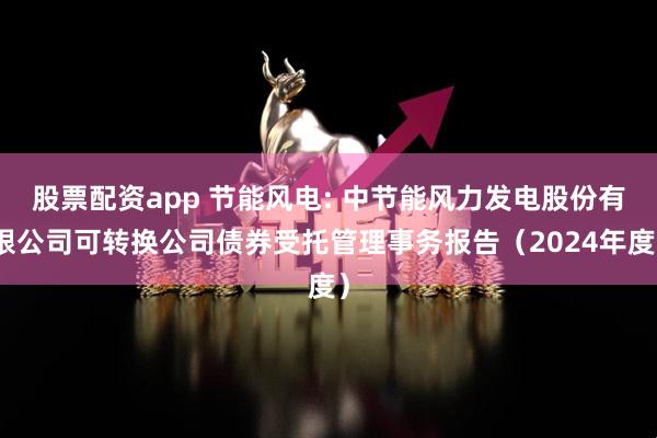 股票配资app 节能风电: 中节能风力发电股份有限公司可转换公司债券受托管理事务报告（2024年度）